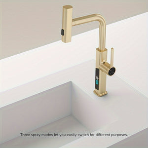 ECLERBC Brushed Gold 3Mode PullOut Kitchen Faucet